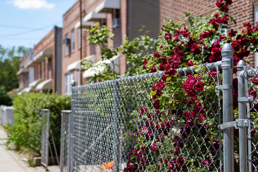chain link fence